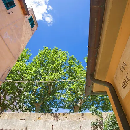 Casetta Dell'oro - Helloelba *